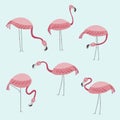 Vector set with six flamingos. Pink Flamingos stand isolated on a blue background. Hand drawn illustration. Royalty Free Stock Photo