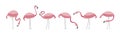 Vector set with six flamingos. Flamingos stand isolated on a white background. Hand drawn illustration. Royalty Free Stock Photo