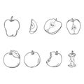 Vector Set of Sketch Apple Illustrations