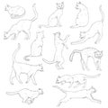 Vector Set of Sketch Cats illustration. Hand Drawn Feline Poses