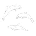 Vector Set of Sketch Dolphin Royalty Free Stock Photo