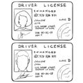Vector Set of Sketch Drivers Licences. Male and Female Template