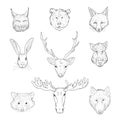 Vector Set of Sketch Forest Animals Heads
