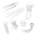 Vector Set of Sketch Jellyfishes