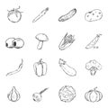 Vector Set of Sketch Vegetables Icons.