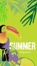 Vector set of social media stories templates. Summer bright tropical backgrounds