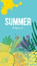 Vector set of social media stories templates. Summer bright tropical backgrounds with fruits, palms