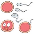 Vector set of sperm and egg Royalty Free Stock Photo