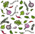 Vector Set of Spices and Vegetables. Red Onion, Garlic Clove, Parsley, Thyme, Rosemary, Hot Chile, Mint