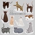 Vector Set of Stickers of Cats in Kawaii Style Royalty Free Stock Photo