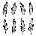 Vector set of stylized bird feathers. Linear collection for decoration. Royalty Free Stock Photo