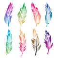 Vector set of stylized bird feathers. Linear collection for decoration. Royalty Free Stock Photo