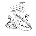 Vector set of summer harvest. Decorated with banner and blots. Watwrmelon slices.