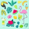 Vector set of summer party icons with tropical birds, fruits, flowers and cocktail Royalty Free Stock Photo