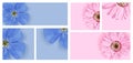 Vector set of templates for advertising. Summer bright background with flowers. Pink and blue colors. Copyspace. Instagram format Royalty Free Stock Photo