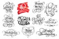 Vector set Thanksgiving lettering for invitations or festive greeting cards. Handwritten calligraphy Grateful Thankful Royalty Free Stock Photo