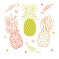 Vector set of three pastel pineapple fruit styles summer tropical object collection. Great for travel, party invitation