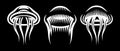 Vector set of three stylish marine jellyfish on black background