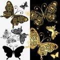 Vector set of tracery vintage gold and black butterflies Royalty Free Stock Photo