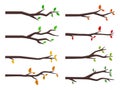 Set of tree branches in flat style