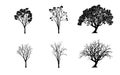 Vector set. tree silhouettes on white background. illustration. Royalty Free Stock Photo