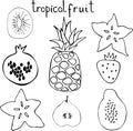 Vector set of tropac fruit - pineapple, pomegranate, kiwi, pear, strawberry, papaya, carambola. Royalty Free Stock Photo