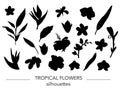 Vector set of tropical leaves and flowers silhouettes Royalty Free Stock Photo