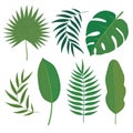 Vector set of tropical leaves.