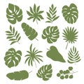Vector set of tropical plant leaves silhouette Royalty Free Stock Photo