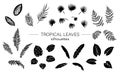 Vector set of tropical plant leaves silhouettes