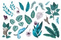 Vector set of tropical plants, insects and animals. Exotic jungle illustration with chameleon, tarsier, bird of paradise,