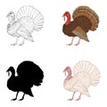 Vector Set of Turkey Illustrations. Farm Bird Illustration Royalty Free Stock Photo