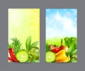 Vector set of two vertical banners with realistic vegetables for Royalty Free Stock Photo