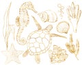 Vector set with underwater animals and coral reef plants. Hand painted golden turtle, seahorse, laminaria, coral and