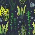 Set of underwater green sea seaweeds pattern