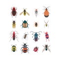 Vector set of various beetles isolated on a white background.Printing on clothes with insects Royalty Free Stock Photo