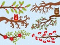 Vector Set of Christmas Tree Branches and Owls Royalty Free Stock Photo