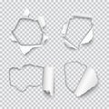 Vector set of various holes torn in paper with rolled edges isolated on transparent background Royalty Free Stock Photo