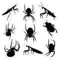 Vector set of various insects: mantis, spider and earth-boring dung beetle in black color