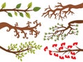 Vector Set of Various Tree Branches. Tree Branches Vector Illustration