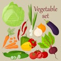 Vector set of vegetables drawn in cartoon style. A collection of farm products for the restaurant menu, a label on the market.