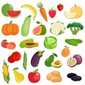 Vector set of vegetables, fruits and berries. Royalty Free Stock Photo