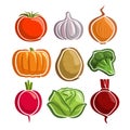 Vector Set Vegetables simple Logo