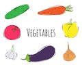 Vector set with vegetables on a white background. Carrot, bell pepper, bow, eggplant, garlic, tomato and cucumber.