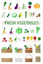 Vector set of vegetables for your design. Images of vegetables, baskets, boxes, packages in cartoon style.Farm products collection Royalty Free Stock Photo
