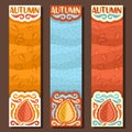 Vector set vertical banners for Autumn season Royalty Free Stock Photo