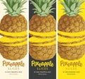 Vector set of vertical labels for pineapple slices