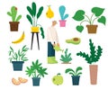 Vector set of village people with organic food, flowers and plants