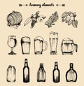 Vector set of vintage brewery elements. Retro collection of beer icons or signs. Lager, ale hand drawn symbols.