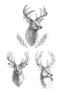 Vector set of vintage deer heads isolated on white. Hand drawn i